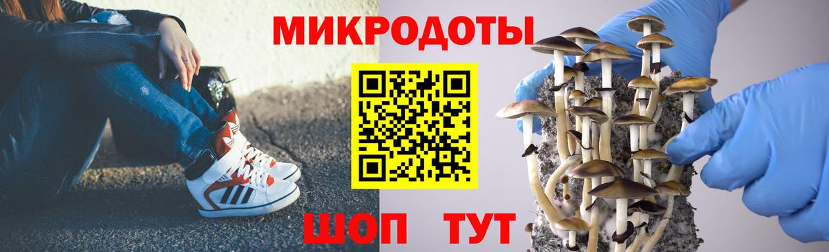 Псилоцибиновые грибы Magic Shrooms  Вход с VPN  наркота  Бахчисарай 